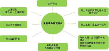 復振科技 從醫藥跨界環保的“野蠻人”，如何在環境科技領域開疆拓土？